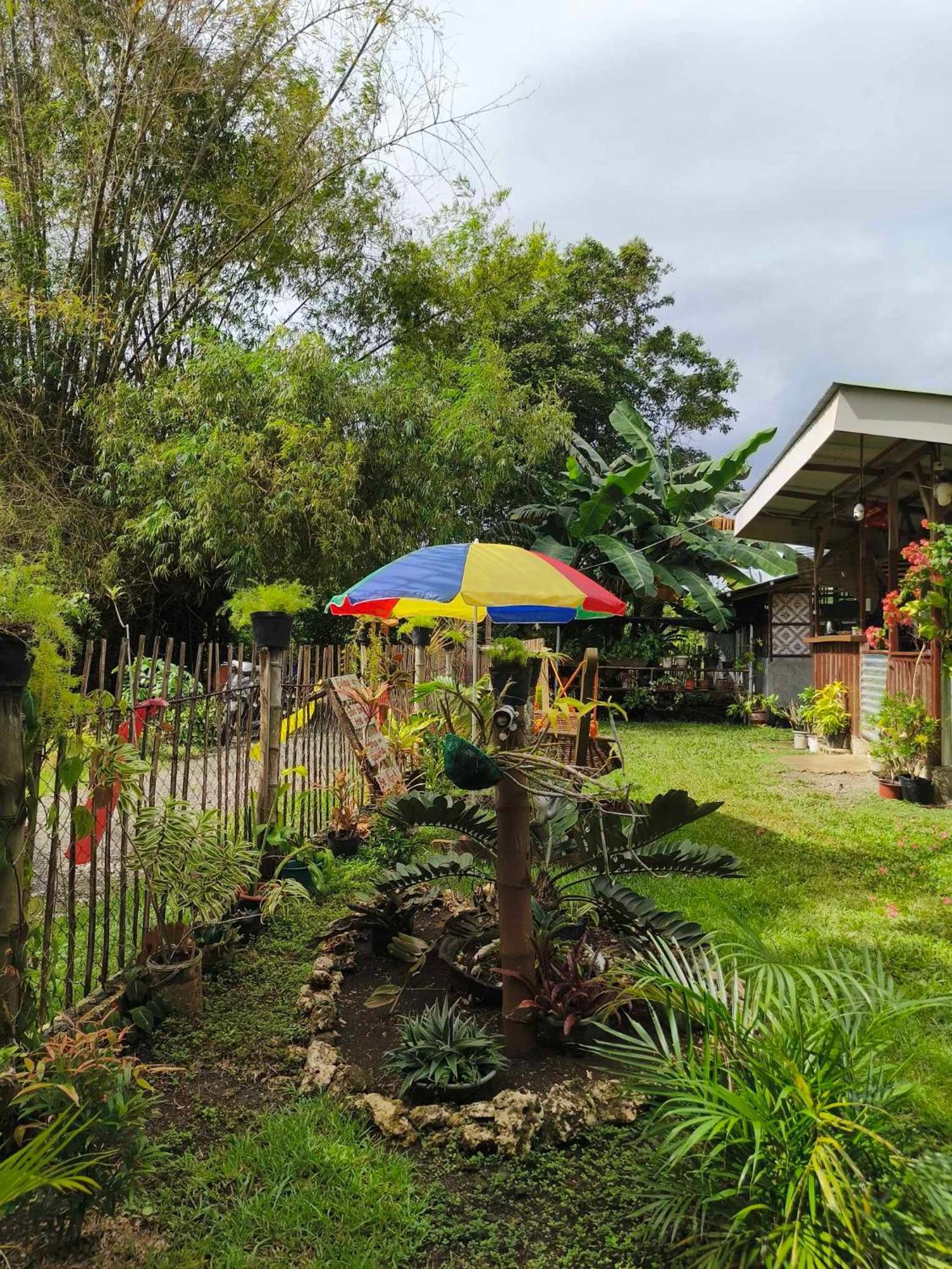 Lagkaw Uno In Lagkaw Homestay Panglao Esterno foto