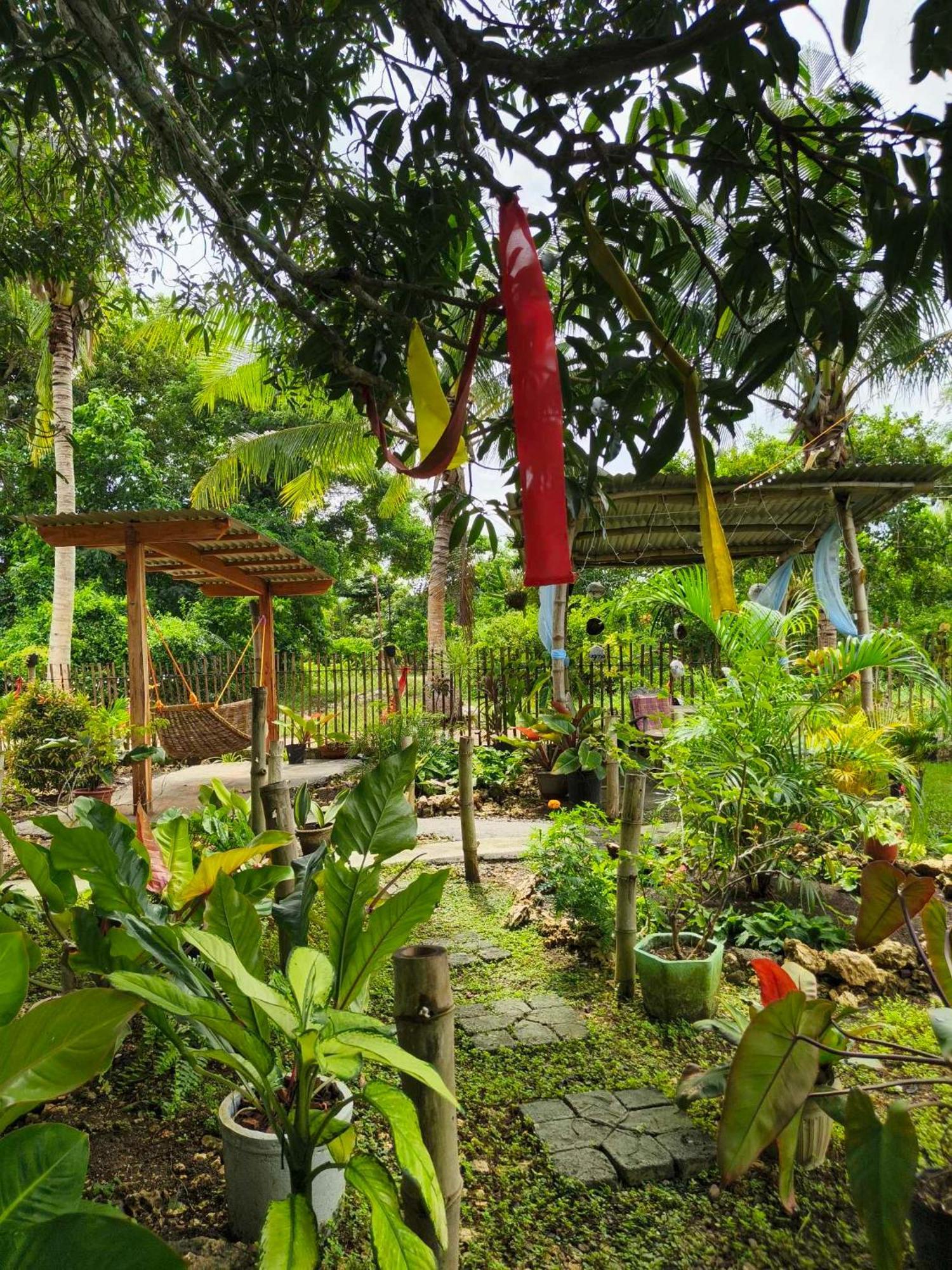 Lagkaw Uno In Lagkaw Homestay Panglao Esterno foto