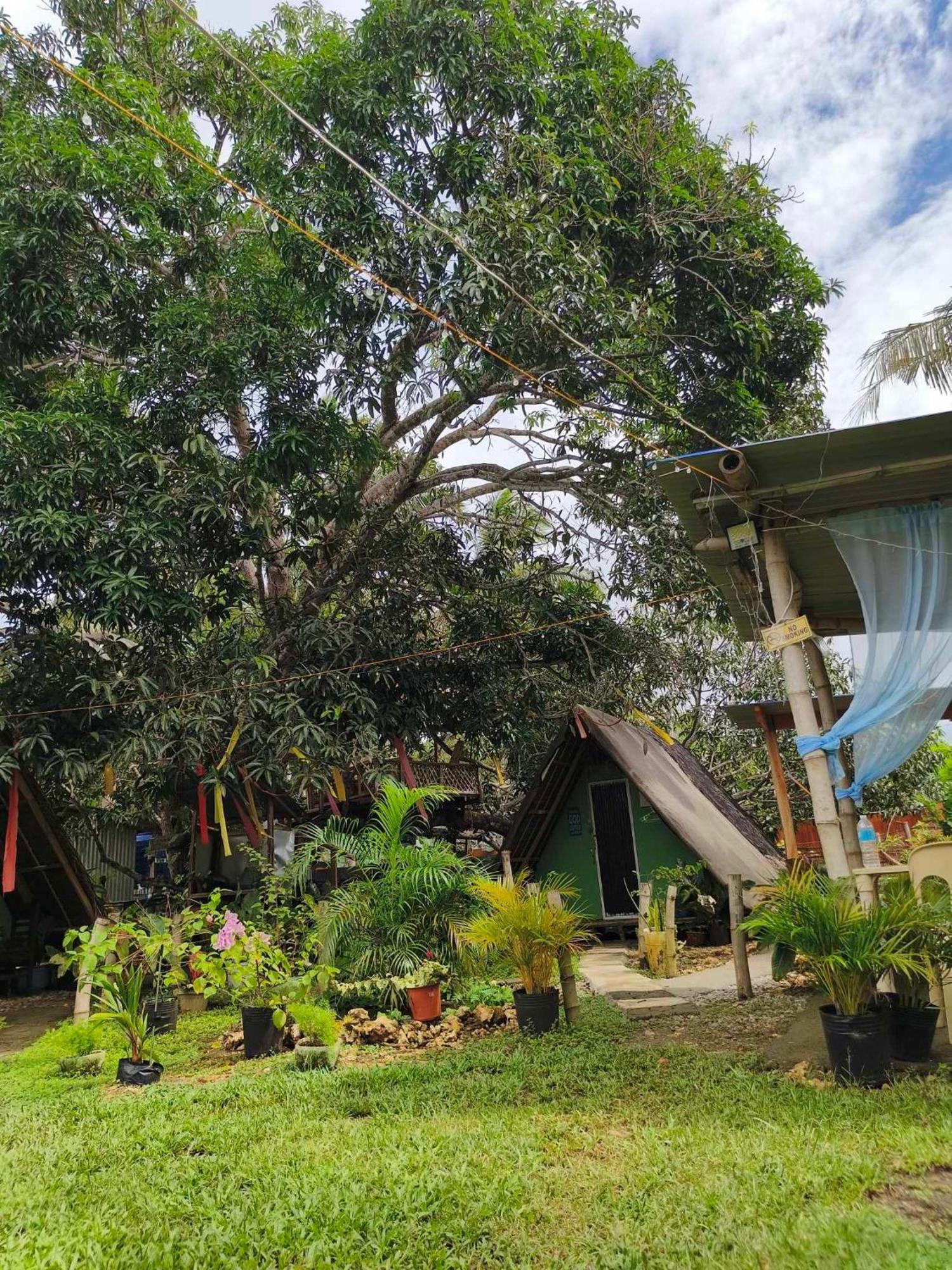 Lagkaw Uno In Lagkaw Homestay Panglao Esterno foto